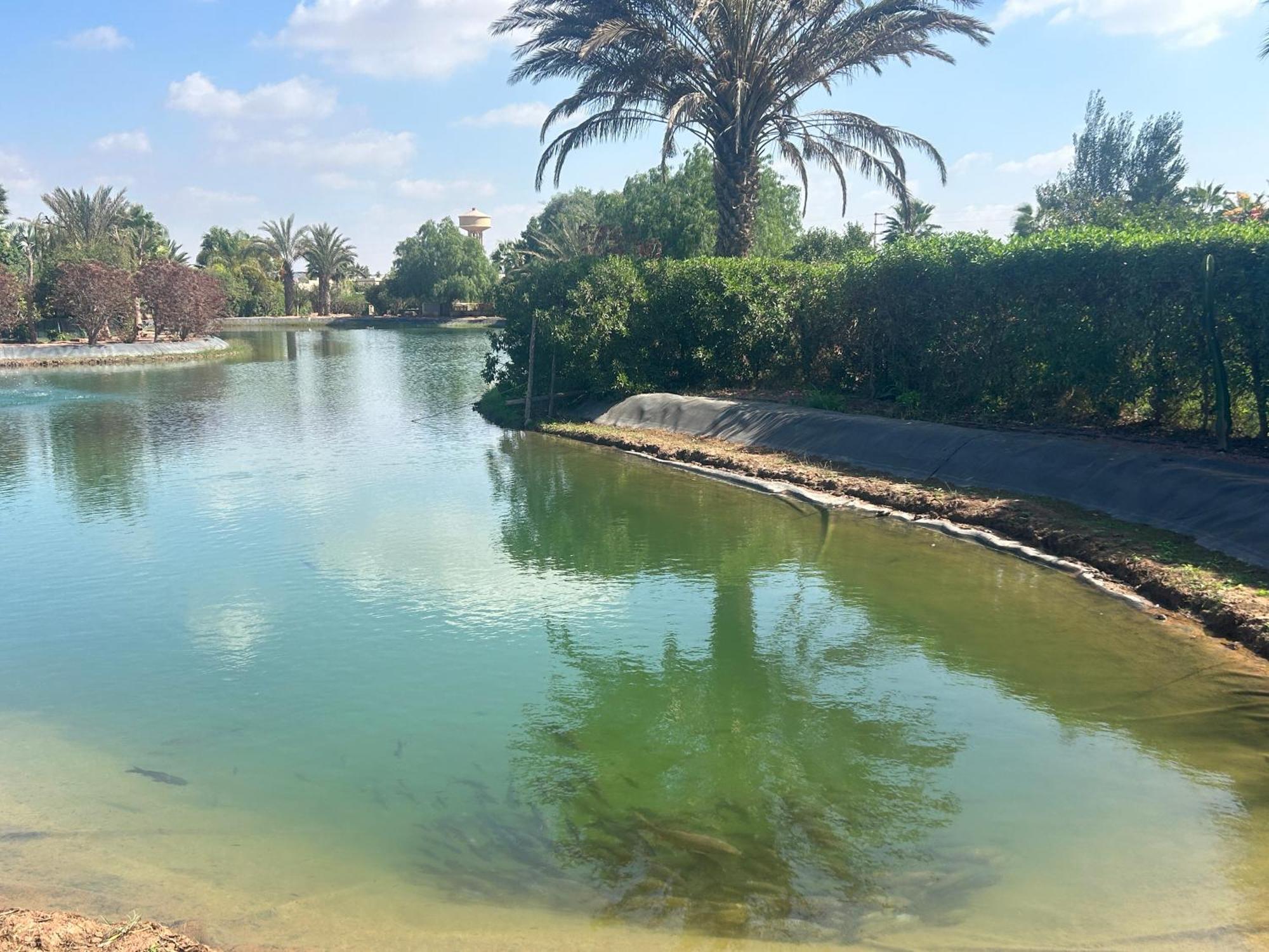 Villa Louisa Piscine Privee Sans Vis A Vis Dyar Shemsi Taroudant Luaran gambar
